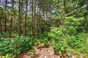 11592 80th Ave, Mecosta, MI 49332 - Photo 28