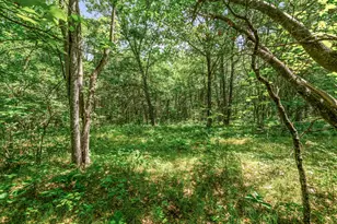 11592 80th Ave, Mecosta, MI 49332 - Photo 34