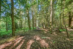 15971 Penesal Rd, Leroy, MI 49655 - Photo 26