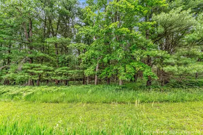 V/L E Kinney Rd, Branch, MI 49402 - Photo 24