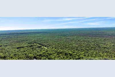 V/L E Kinney Rd, Branch, MI 49402 - Photo 28