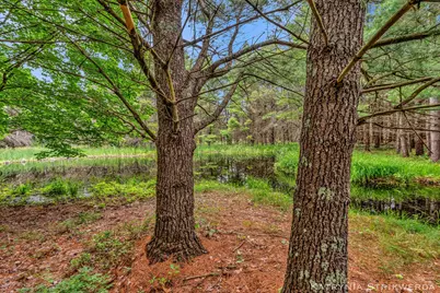 V/L E Kinney Rd, Branch, MI 49402 - Photo 20