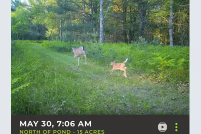 V/L E Kinney Rd, Branch, MI 49402 - Photo 38