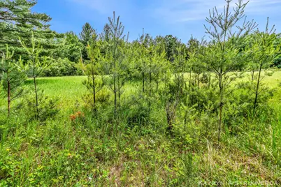 V/L E Kinney Rd, Branch, MI 49402 - Photo 16