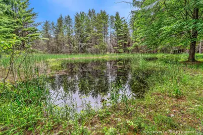 V/L E Kinney Rd, Branch, MI 49402 - Photo 22
