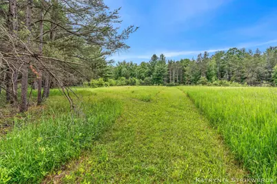 V/L E Kinney Rd, Branch, MI 49402 - Photo 26