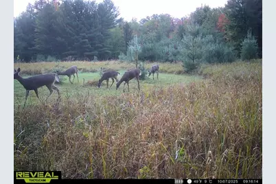V/L E Kinney Rd, Branch, MI 49402 - Photo 36