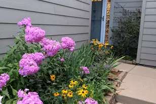 620 Peninsula Ct, Ann Arbor, MI 48105 - Photo 46