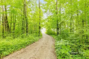 12088 Jenks St NE, Belding, MI 48809 - Photo 56