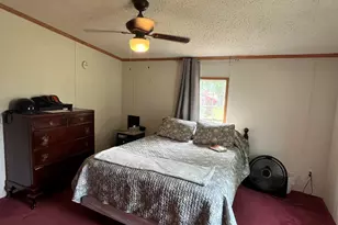 1172 N Greenville Rd, Stanton, MI 48888 - Photo 20