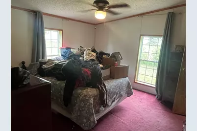 1172 N Greenville Road, Stanton, MI 48888 - Photo 20