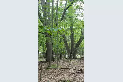 11010 Shawnee Trail #229, Stanwood, MI 49346 - Photo 2