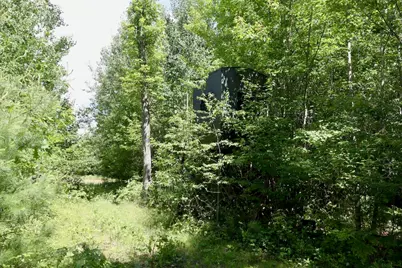 4473 Hamilton Drive, Harrison, MI 48625 - Photo 66