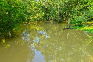 6697 Warren Woods Rd, Three Oaks, MI 49128 - Photo 86