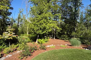 13453 Lakeside Ave, Bear Lake, MI 49614 - Photo 14
