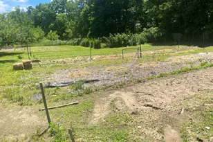 12915 Cassidy Rd, Bellevue, MI 49021 - Photo 112