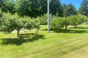 12915 Cassidy Rd, Bellevue, MI 49021 - Photo 108