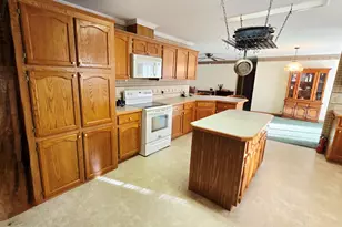 3417 M-67, Chatham, MI 49816 - Photo 2