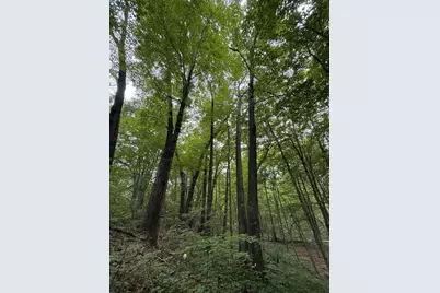 23250 W Wood Lake Road, Pierson, MI 49339 - Photo 4