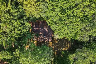 1091 N River Trail, White Cloud, MI 49349 - Photo 32