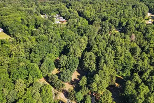 1091 N River Trail, White Cloud, MI 49349 - Photo 36