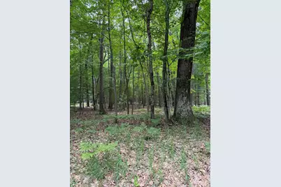 Lot 127 Wayne Road, Pentwater, MI 49449 - Photo 2