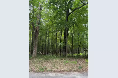 Lot 127 Wayne Road, Pentwater, MI 49449 - Photo 1