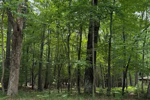 Lot 127 Wayne Rd, Pentwater, MI 49449 - Photo 1