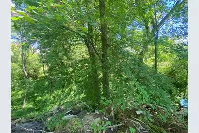 Cassidy Road, Bellevue, MI 49021 - Photo 6
