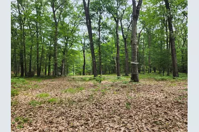 Vl Rebecca Road, Baldwin, MI 49304 - Photo 2