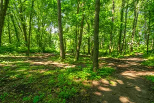 8765 M-66, East Leroy, MI 49051 - Photo 16
