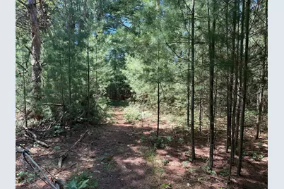9748 N US 31, Free Soil, MI 49411 - Photo 34