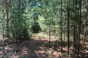 9748 N US 31, Free Soil, MI 49411 - Photo 34