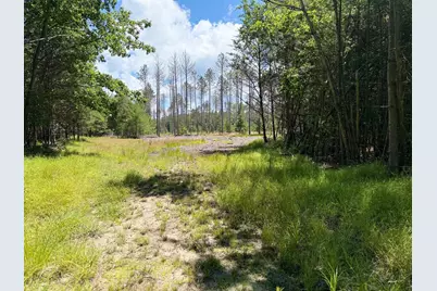 9748 N Us-31, Free Soil, MI 49411 - Photo 34