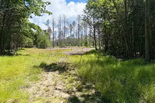 9748 N Us-31, Free Soil, MI 49411 - Photo 34