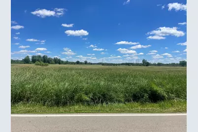 Parcel B Browns Lake Road, Jackson, MI 49203 - Photo 6