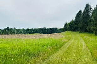 5372 Milarch Rd, Manistee, MI 49660 - Photo 38