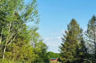 5372 Milarch Rd, Manistee, MI 49660 - Photo 24