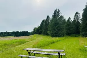 5372 Milarch Rd, Manistee, MI 49660 - Photo 14