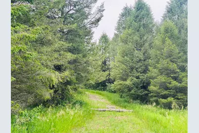 5372 Milarch Road, Manistee, MI 49660 - Photo 20