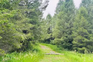 5372 Milarch Rd, Manistee, MI 49660 - Photo 20