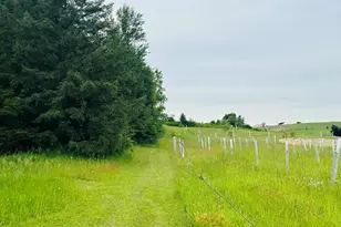 5372 Milarch Rd, Manistee, MI 49660 - Photo 36