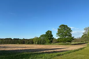 5372 Milarch Rd, Manistee, MI 49660 - Photo 30