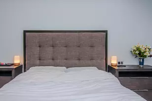 111 N Ashley St, Ann Arbor, MI 48104 - Photo 28