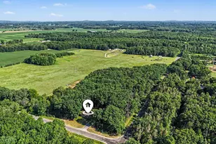 384 E Wilke Rd, Rothbury, MI 49452 - Photo 36