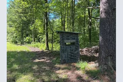 4485 S Miles Road, Sheridan, MI 48884 - Photo 70
