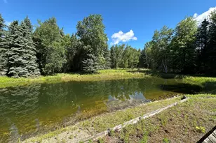 4485 S Miles Rd, Sheridan, MI 48884 - Photo 36