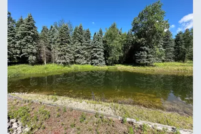 4485 S Miles Road, Sheridan, MI 48884 - Photo 38