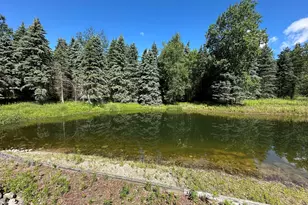 4485 S Miles Rd, Sheridan, MI 48884 - Photo 38