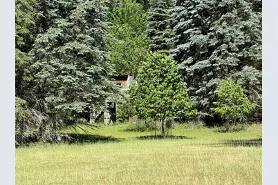 4485 S Miles Road, Sheridan, MI 48884 - Photo 60